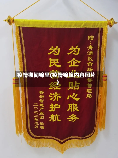 疫情期间锦里(疫情锦旗内容图片)-第2张图片