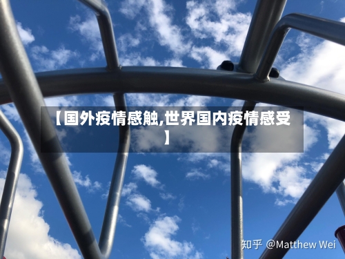 【国外疫情感触,世界国内疫情感受】