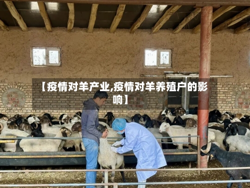 【疫情对羊产业,疫情对羊养殖户的影响】-第3张图片