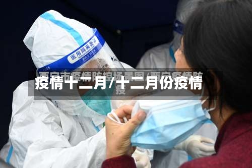 疫情十二月/十二月份疫情-第2张图片