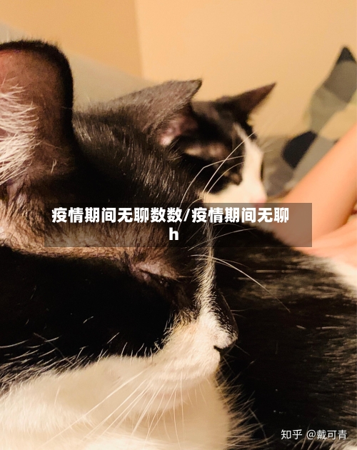 疫情期间无聊数数/疫情期间无聊h