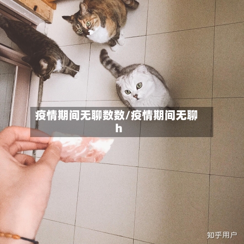 疫情期间无聊数数/疫情期间无聊h-第2张图片