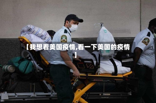 【我想看美国疫情,看一下美国的疫情】